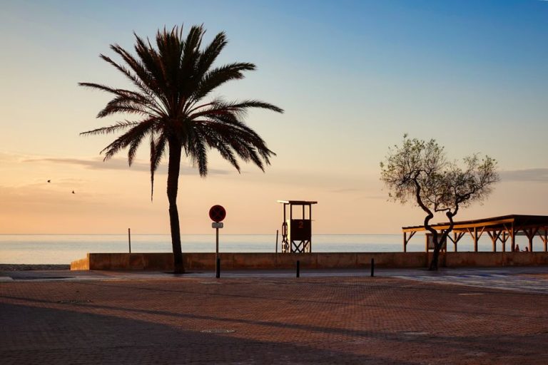 Cala tranquila en el norte de Ibiza rodeada de pinares mediterráneos al atardecer