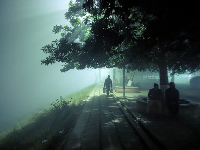 Isla misteriosa envuelta en niebla con atmósfera de suspense