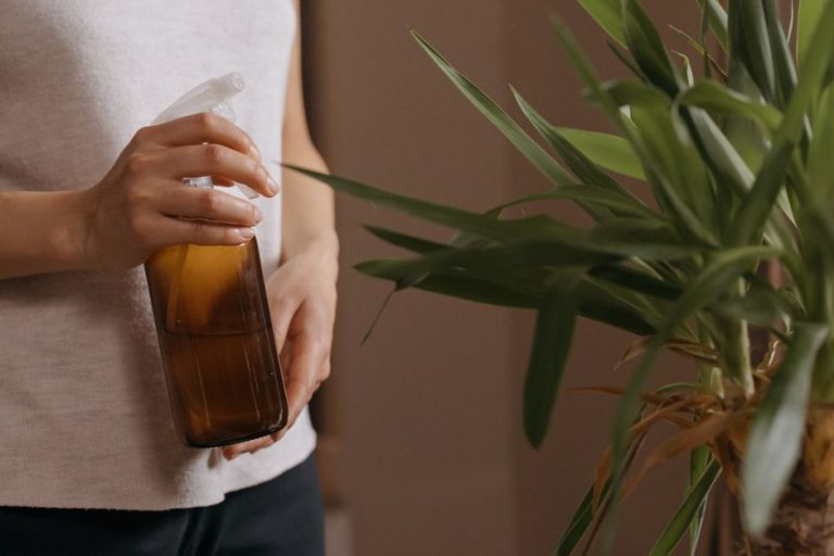 Agua de rosas en frasco sobre mesa de madera con luz natural suave